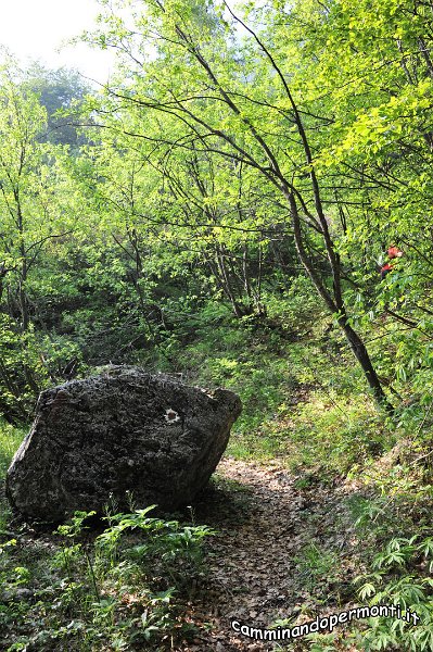 016 Sentiero dell Amicizia Monte Alben La Croce.JPG